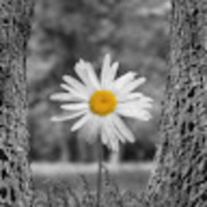 Meet your Posher, Jones